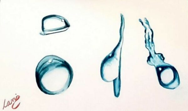 116641953 662018461065877 9020900505478027966 o másolata