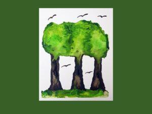 Csepegtetős lombkorona